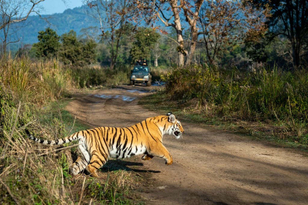 Indian national parks and wildlife sanctuaries tripowe