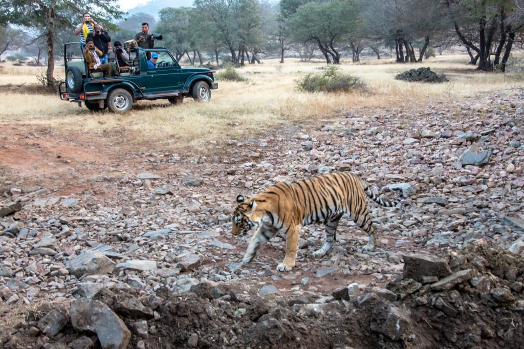 Indian national parks and wildlife sanctuaries tripowe