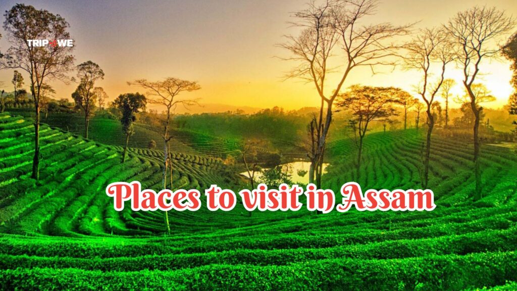 Places to visit in Assam