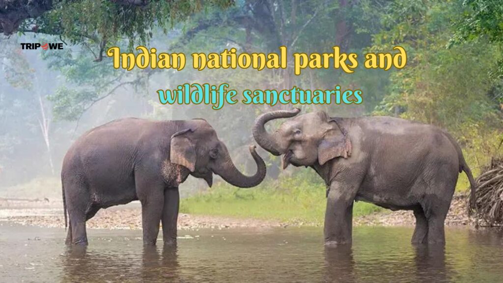 Indian national parks and wildlife sanctuaries