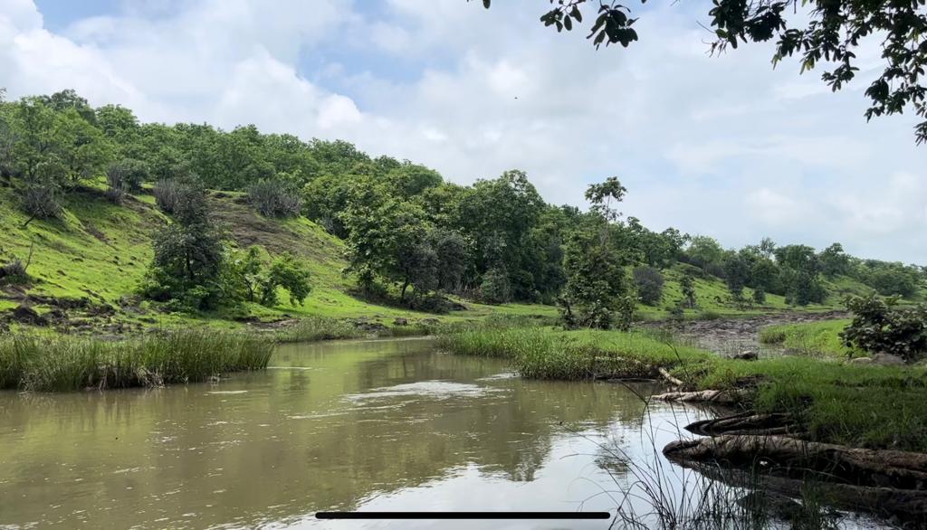 Gudiya Waterfall