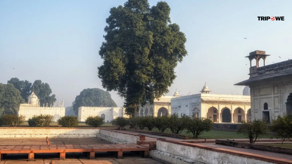 Places to visit in agra 