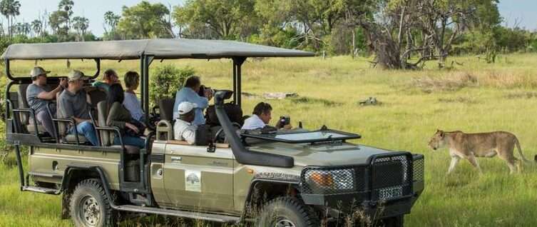 Activities and Safaris: