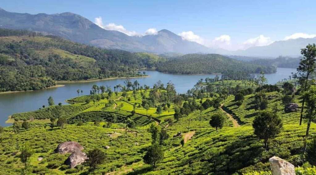 Best Time to Visit Munnar