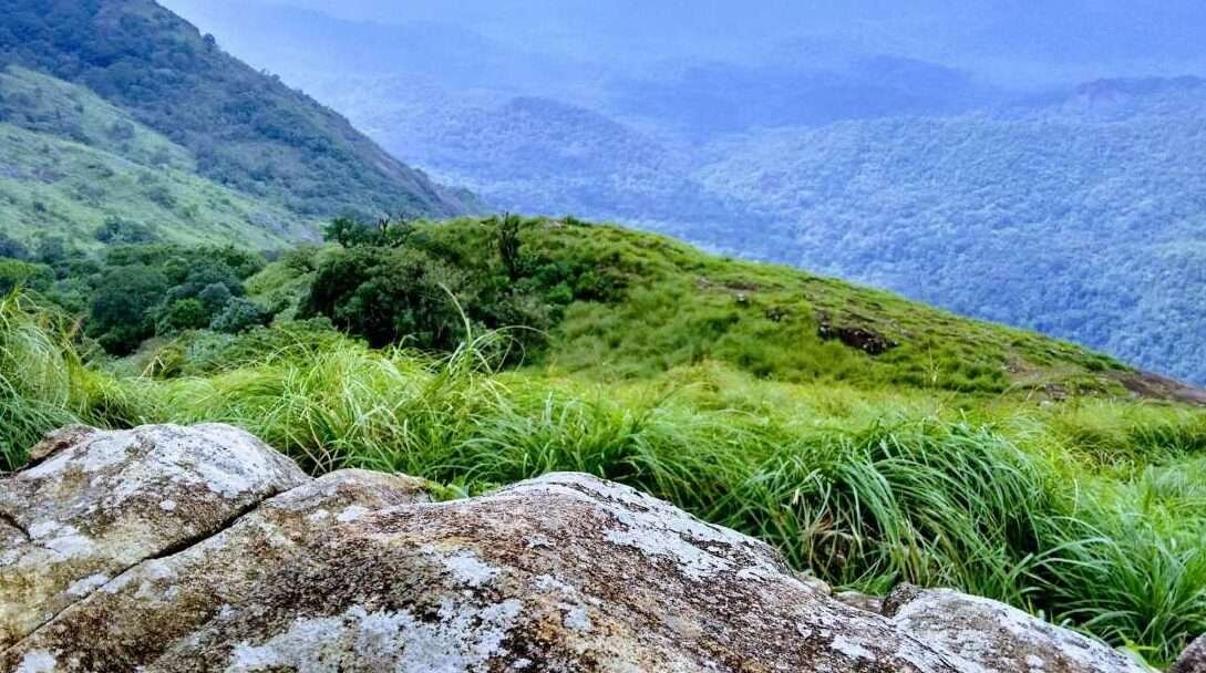 The tastes of Ponmudi