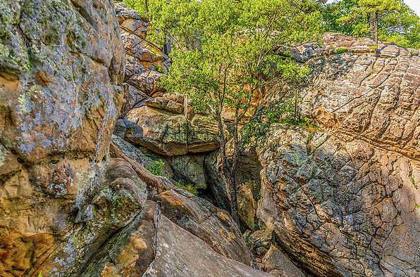 Cracking the Mysteries of Robber's Cave