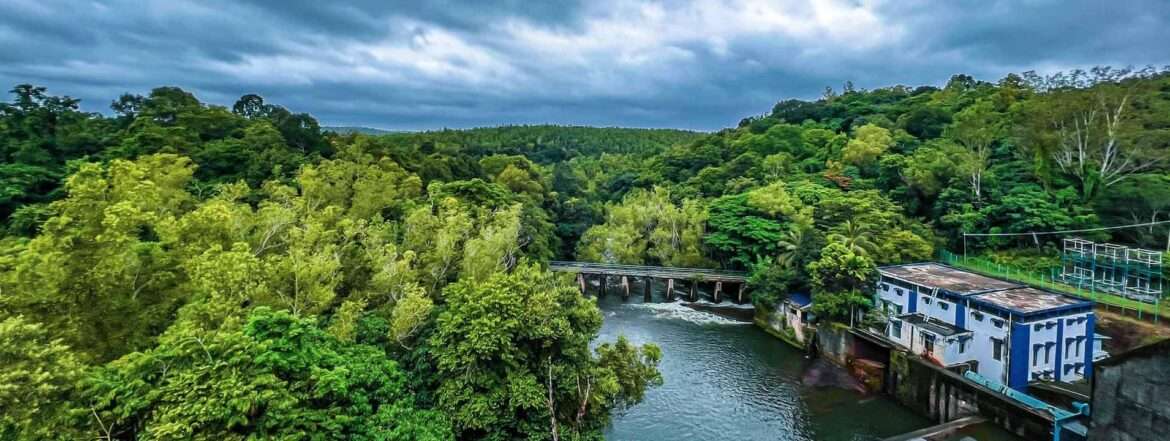 Peppara Wildlife Sanctuary's Wonders