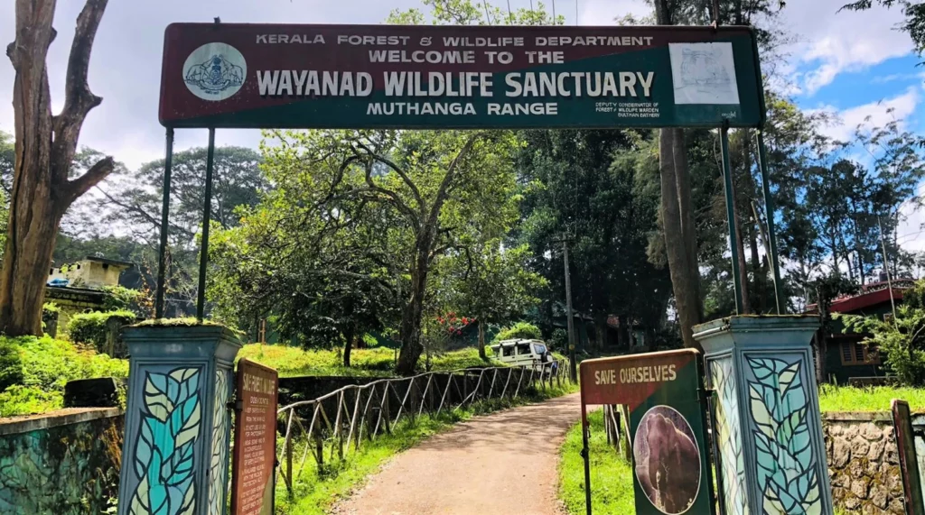 Wayanad Wildlife Sanctuary