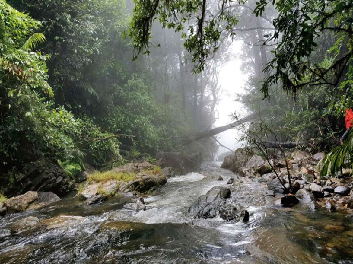 Agumbe