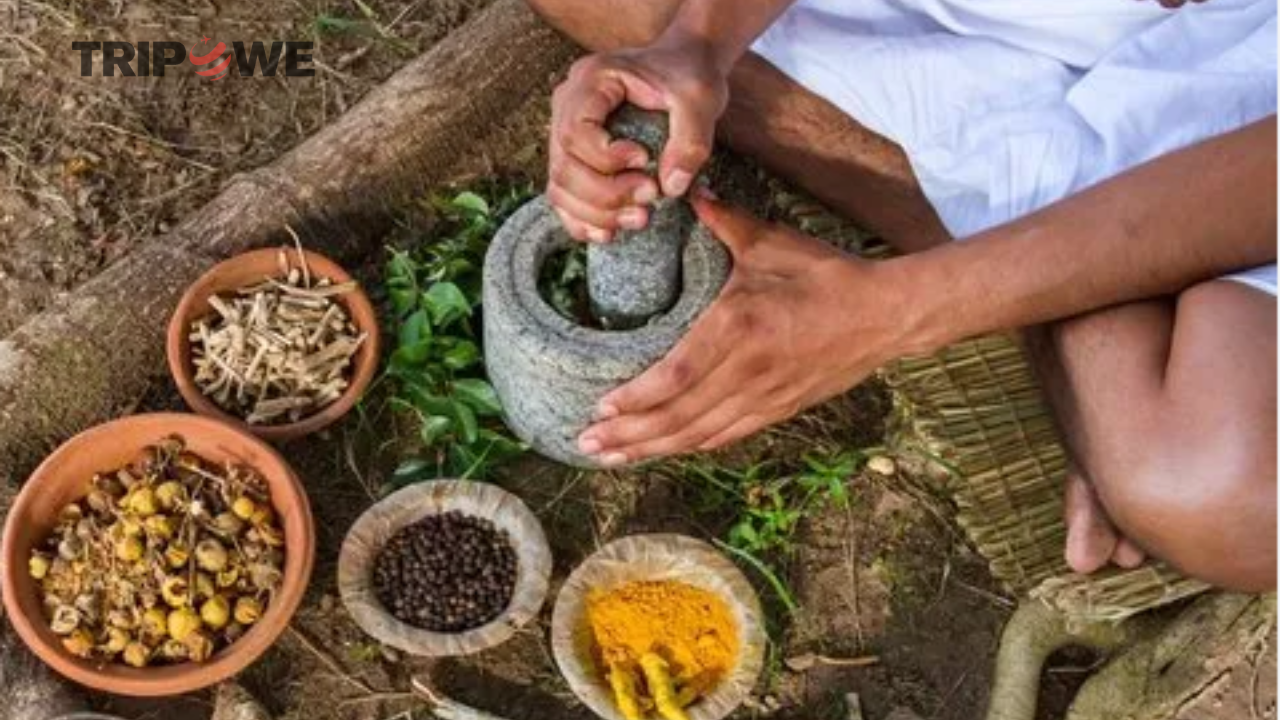 Rajasthani Ayurveda