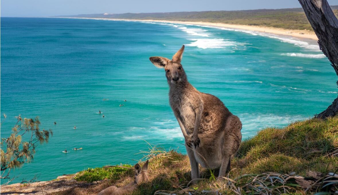 Kangaroo Island:
