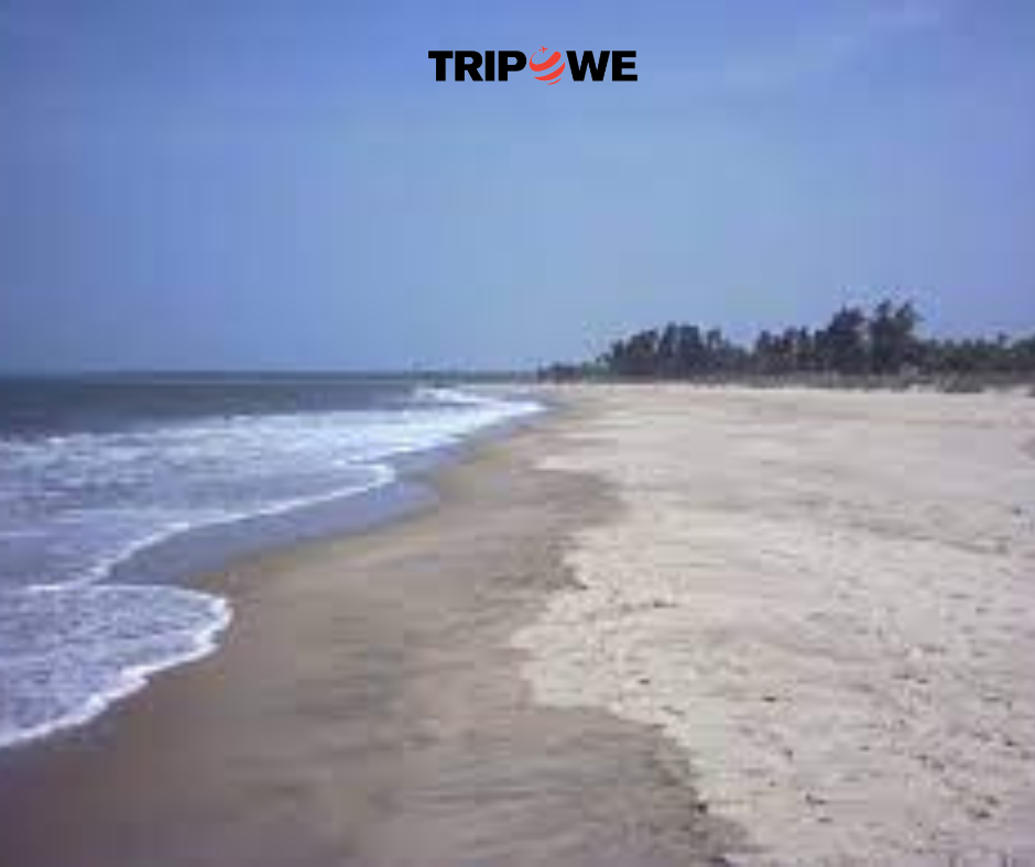 Tarkarli Beach, Maharashtra tripowe.com