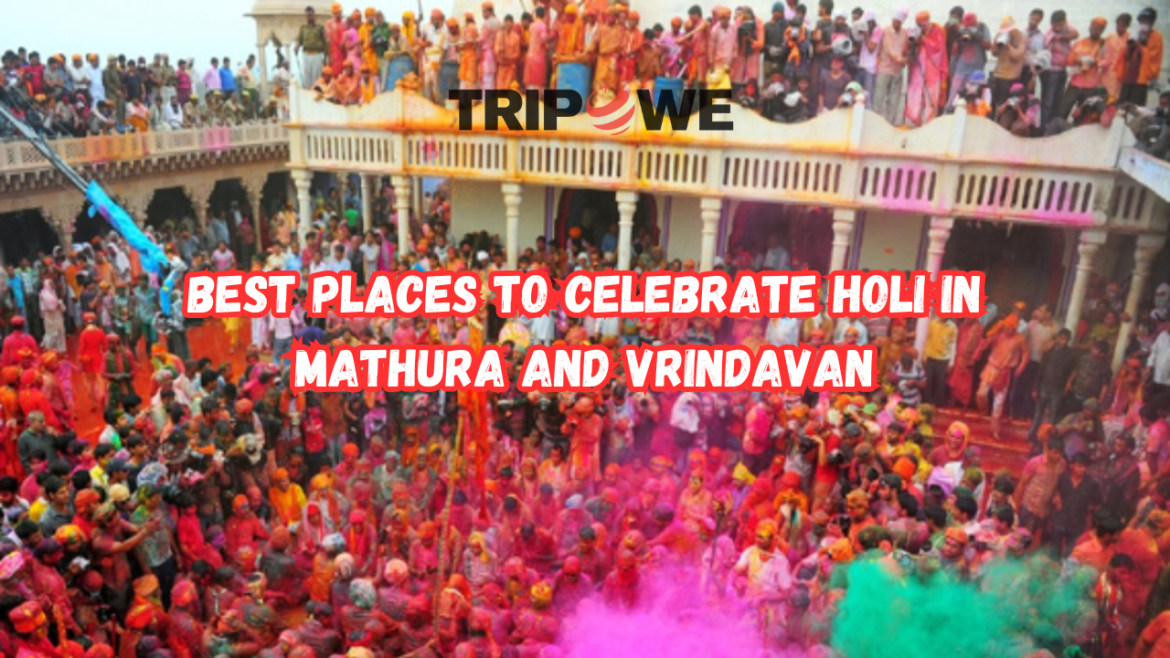 Best Places to Celebrate Holi in Mathura and Vrindavan