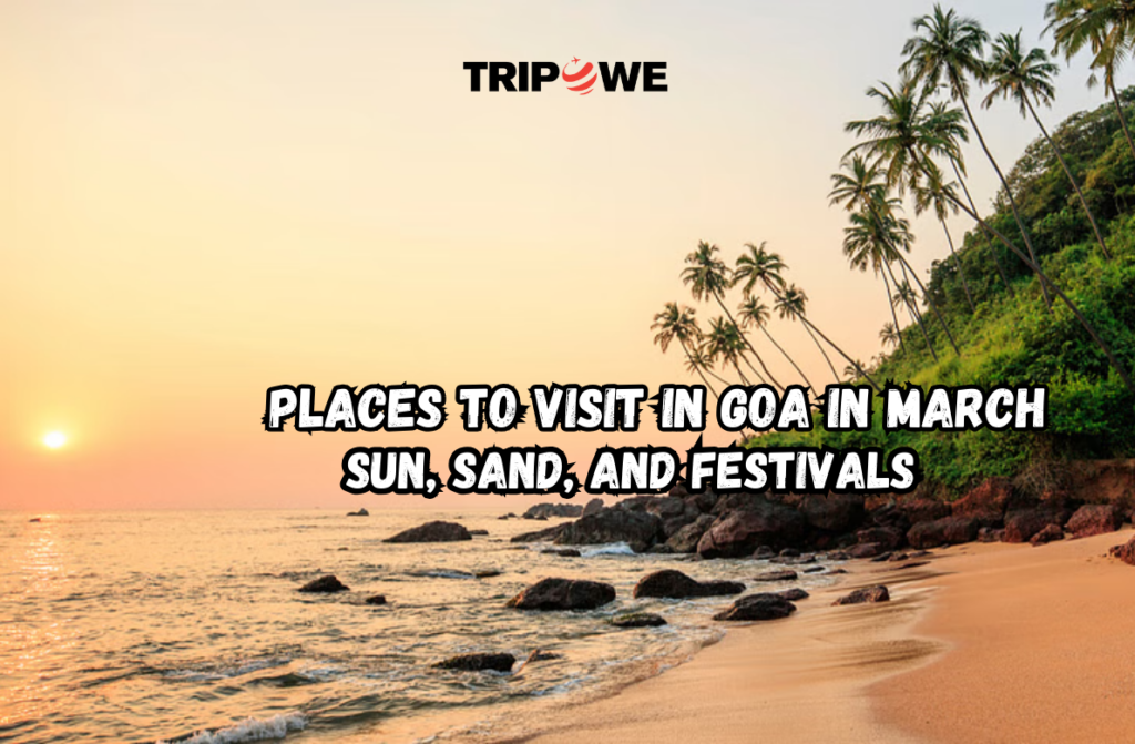 Places to Visit in Goa in March tripowe.com