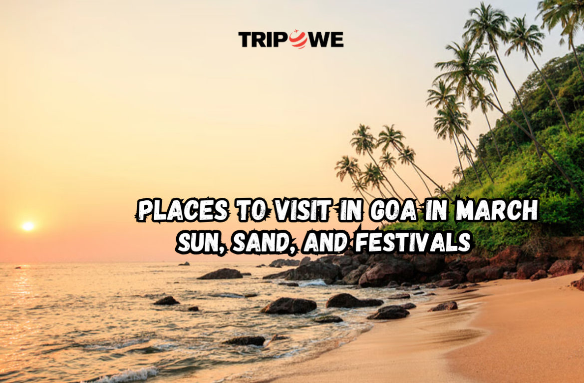 Places to Visit in Goa in March tripowe.com