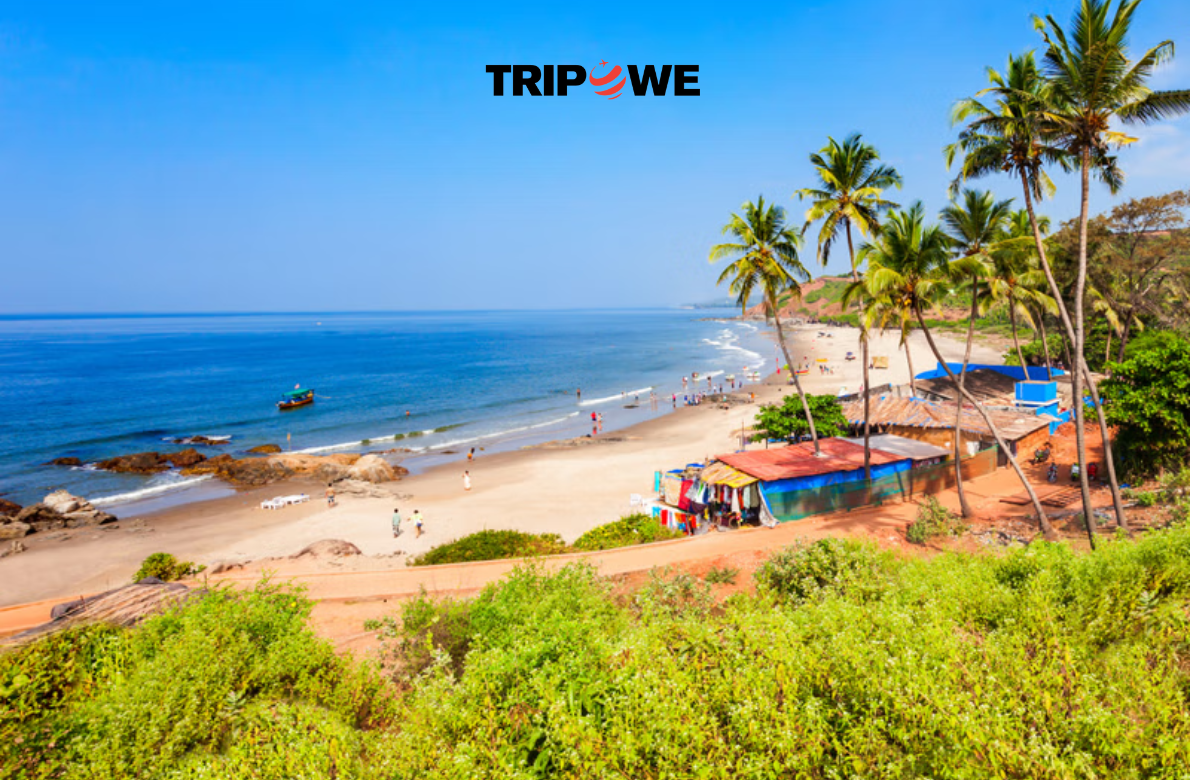 Places to Visit in Goa in March