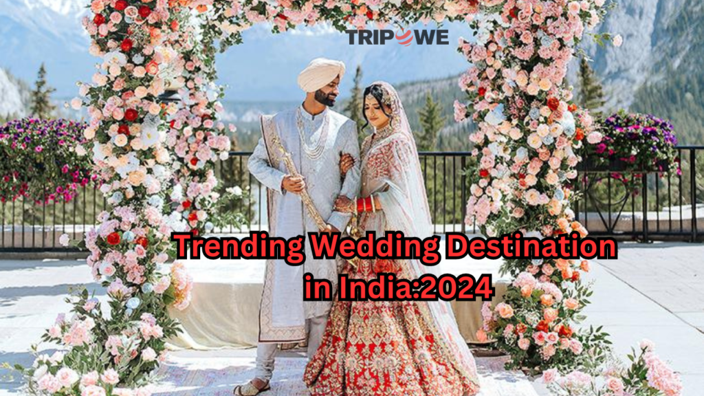 Trending Wedding Destination in India