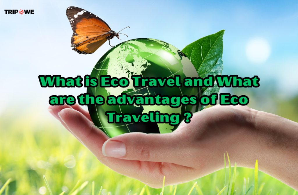 Eco Travel tripowe.com