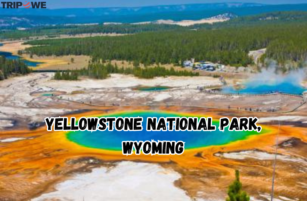 Yellowstone National Park, Wyoming 