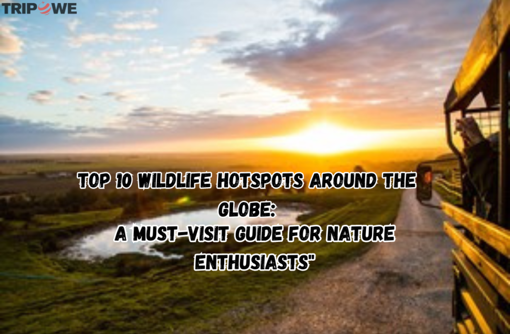 A Must-Visit Guide for Nature Enthusiasts