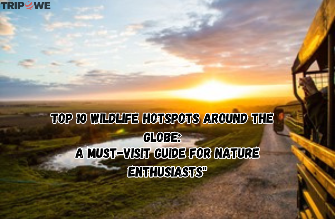 A Must-Visit Guide for Nature Enthusiasts