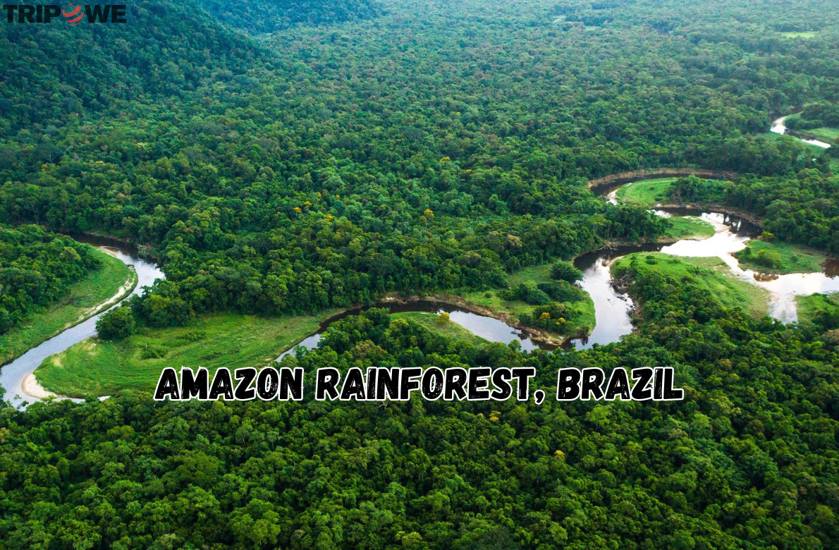 Amazon Rainforest, Brazil:
