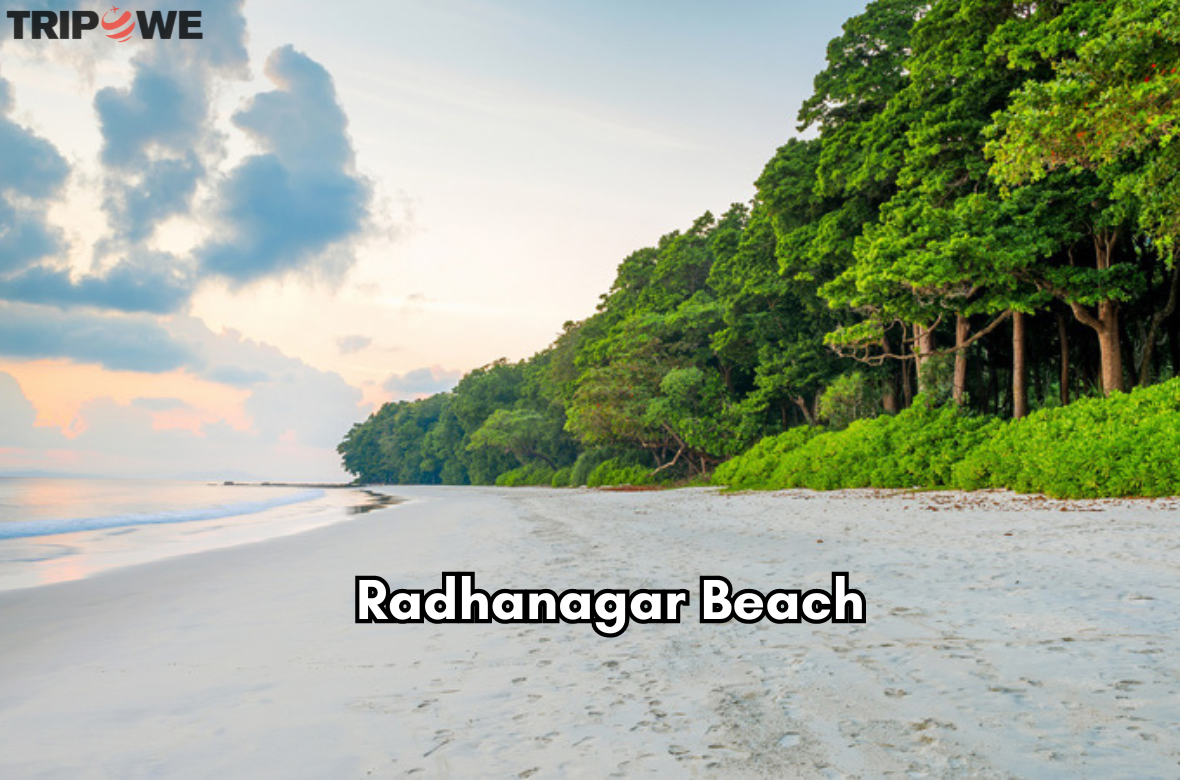 Radhanagar Beach tripowe.com