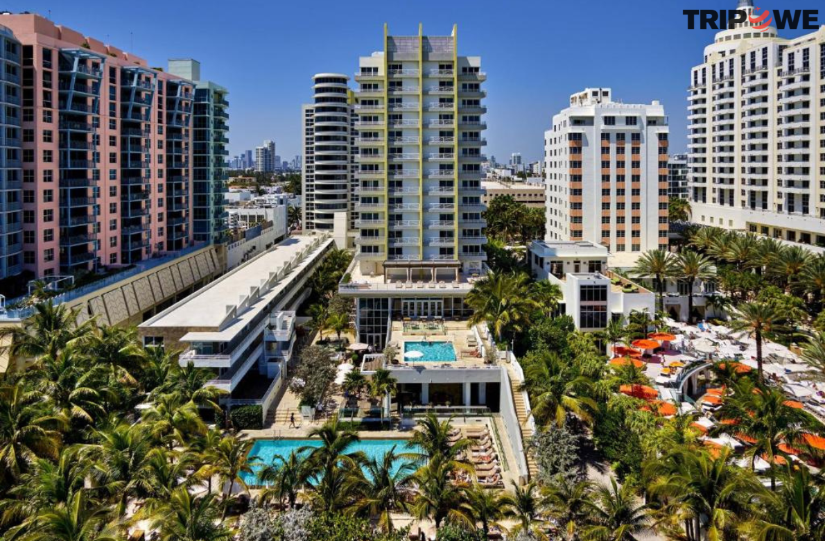 Royal Palm South Beach Miami, a Tribute Portfolio Resort tripowe.com
