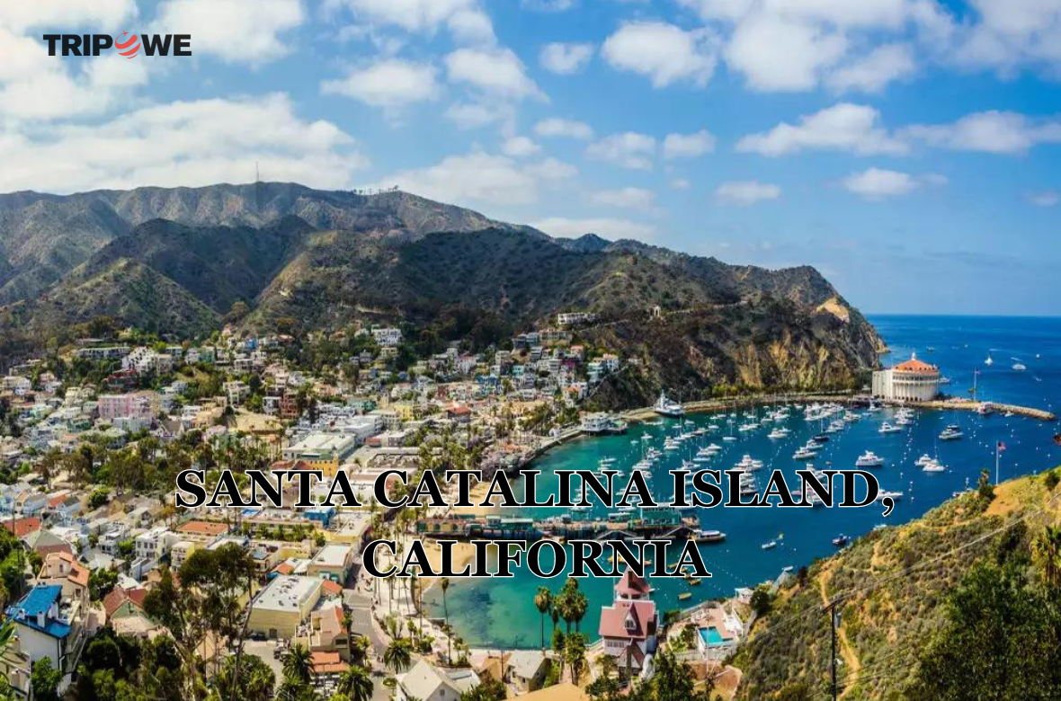 Santa Catalina Island, California tripowe.com