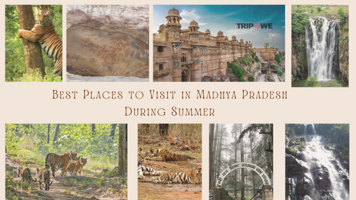 Best Places to Visit in Madhya Pradesh During Summer