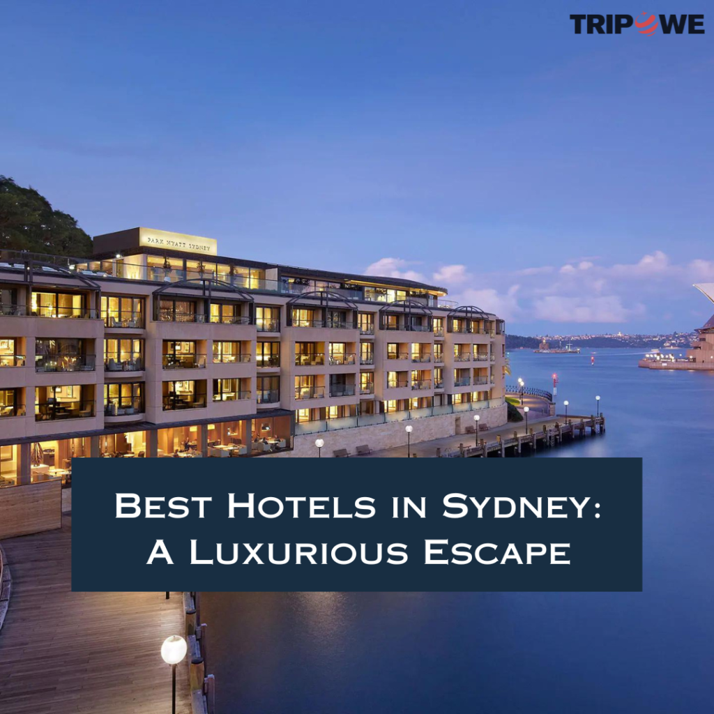 Best Hotels in Sydney: A Luxurious Escape