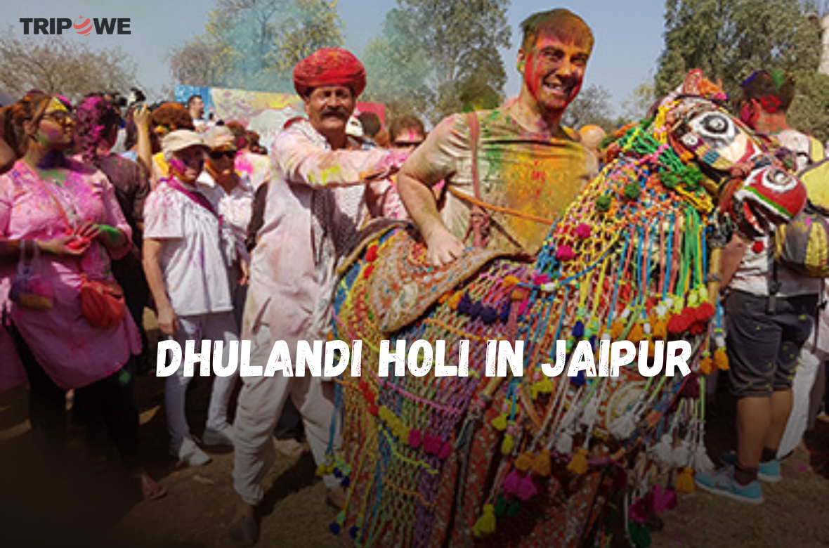Dhulandi Holi in Jaipur tripowe.com