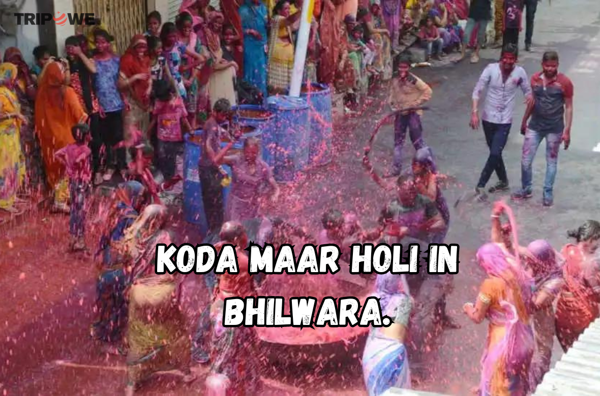Koda Maar Holi in Bhilwara. tripowe.com