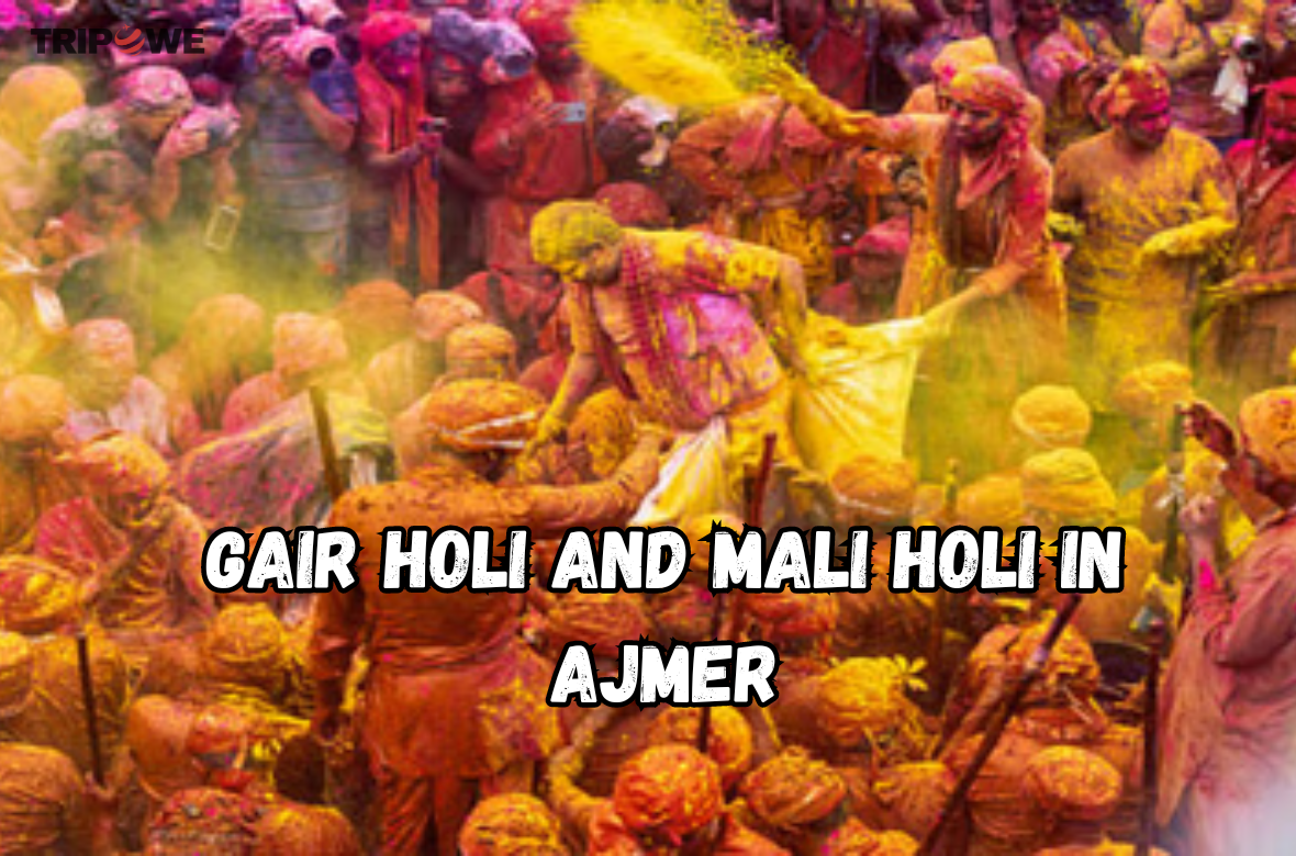 Gair Holi and Mali Holi in Ajmer tripowe.com