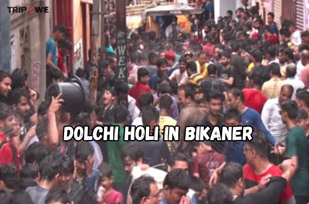 Dolchi Holi in Bikaner tripowe.com