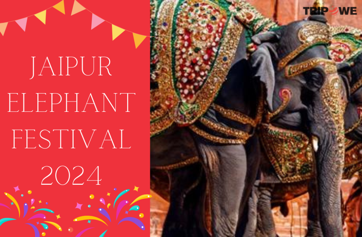 jaipur elephant festival 2024
