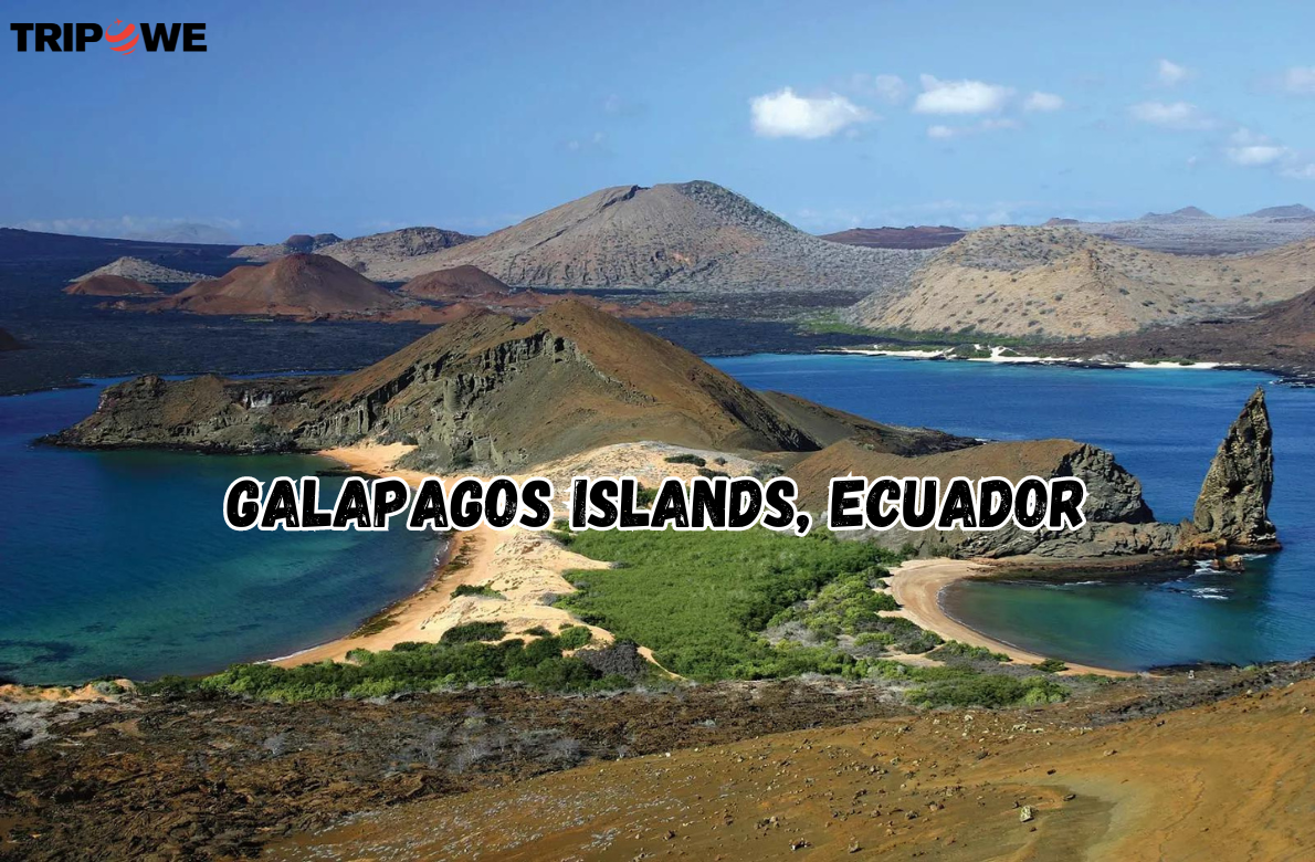 Galapagos Islands, Ecuador tripowe.com