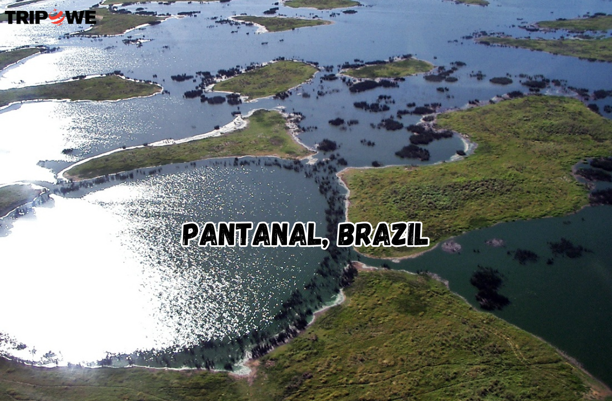 Pantanal, Brazil tripowe.com