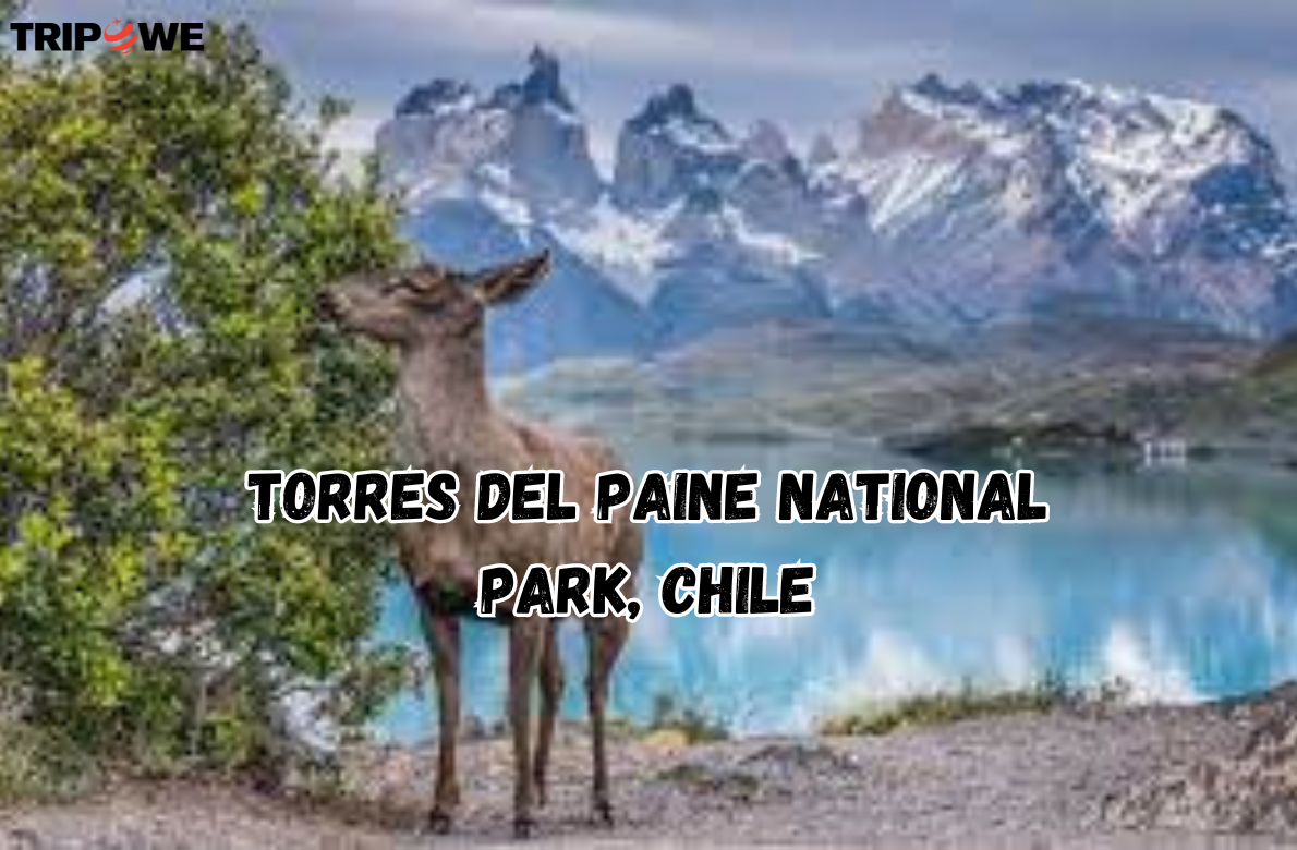 Torres del Paine National Park, Chile tripowe.com