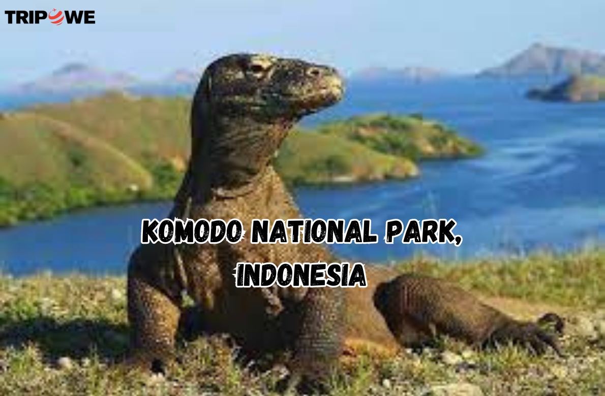 Komodo National Park, Indonesia tripowe.com