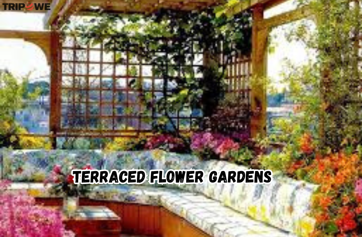 Terraced Flower Gardens tripowe.com