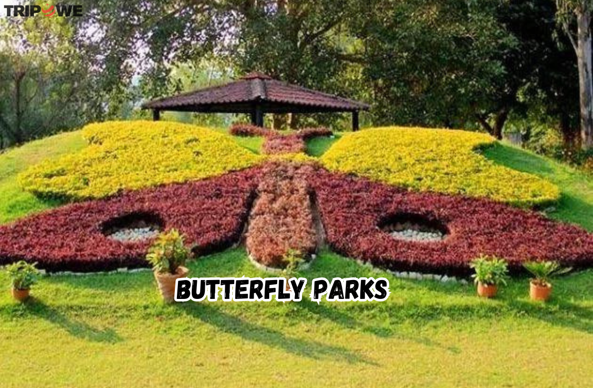 Butterfly Parks tripowe.com