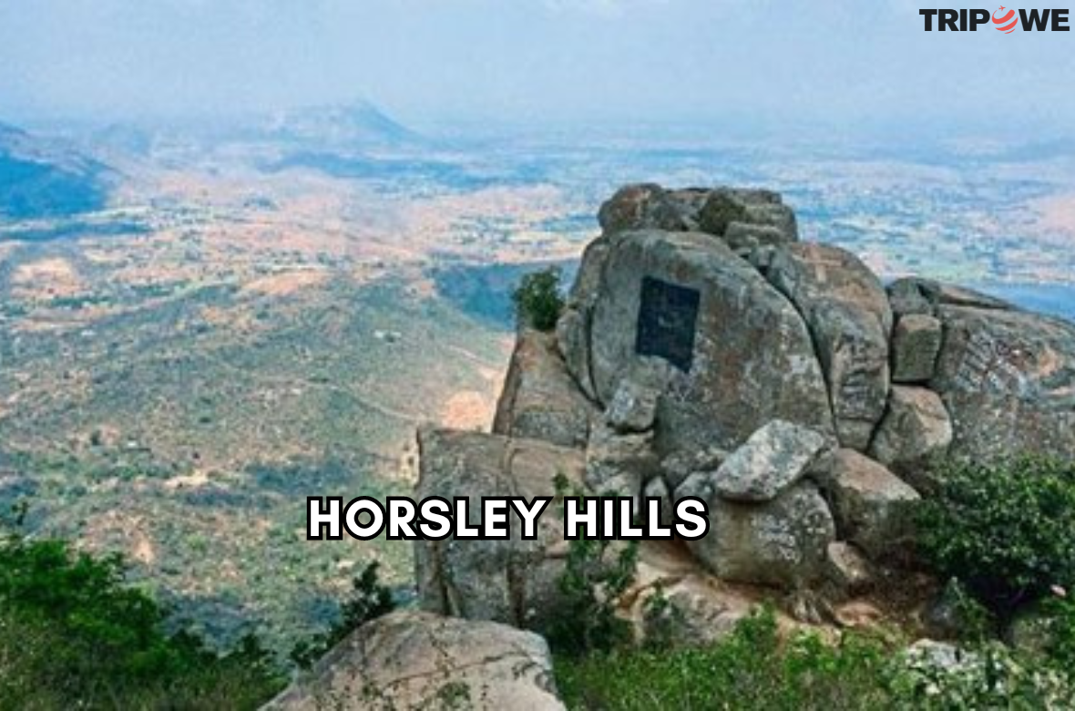 Horsley Hills tripowe.com