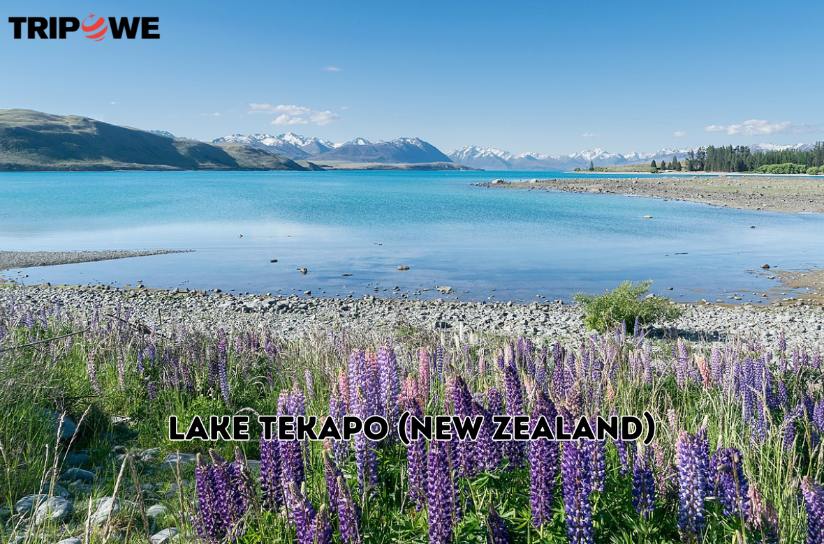 Lake Tekapo (New Zealand) tripowe.com