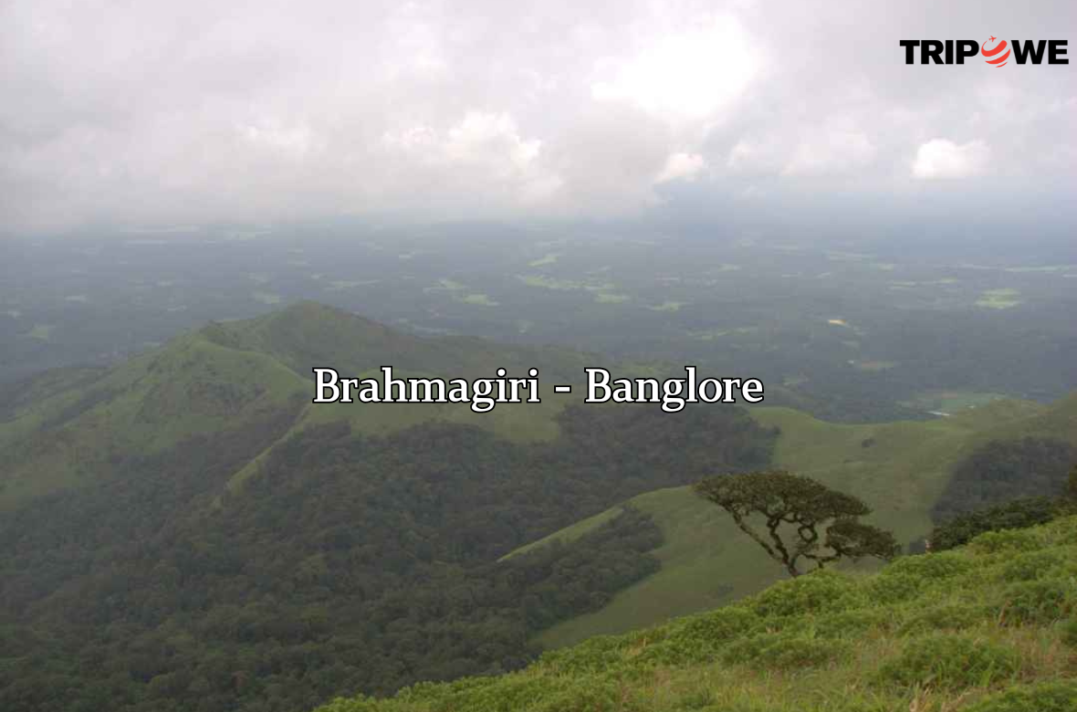 Brahmagiri -Banglore tripowe.com