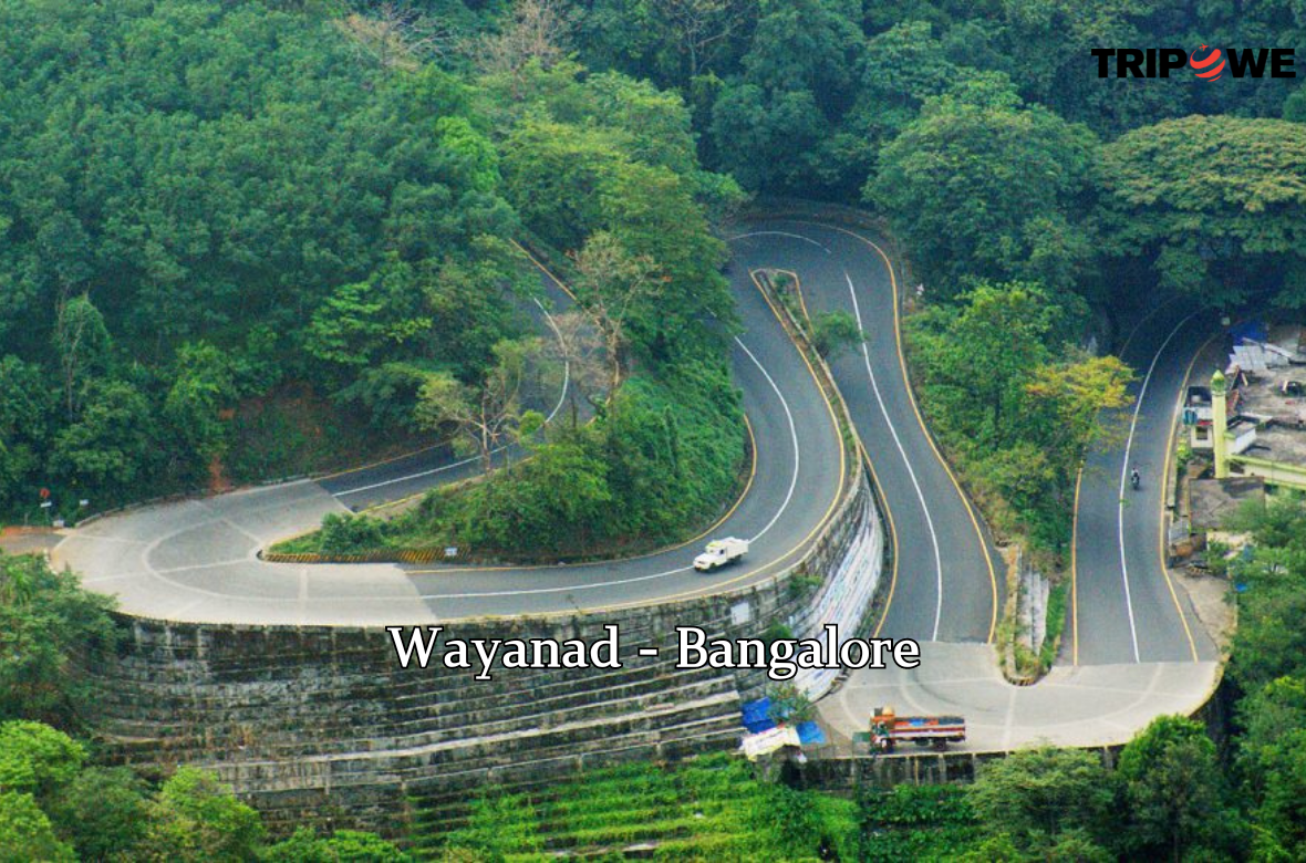 Wayanad - Bangalore tripowe.com