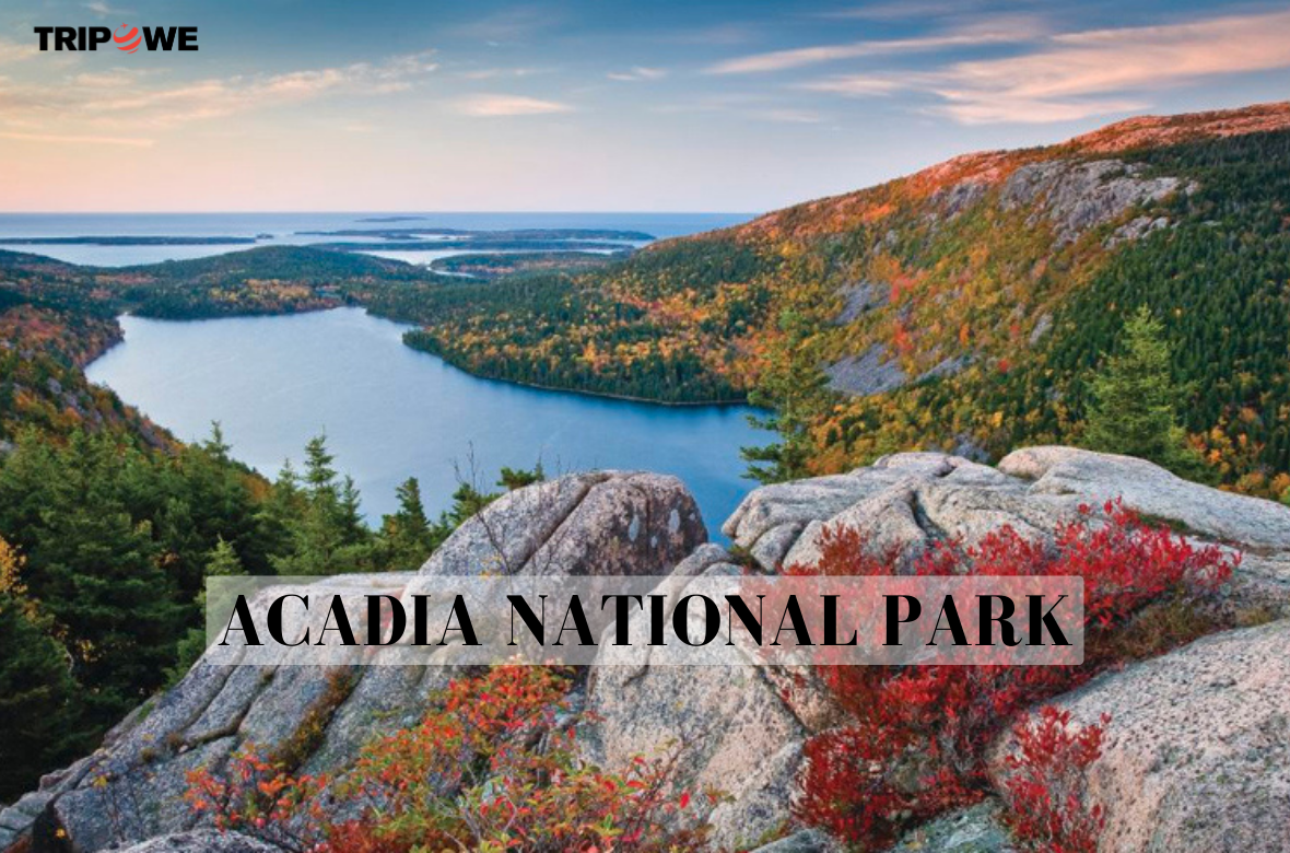 Acadia National Park tripowe.com