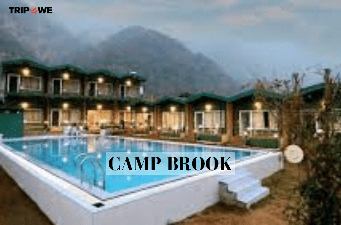 Camp Brook tripowe.com