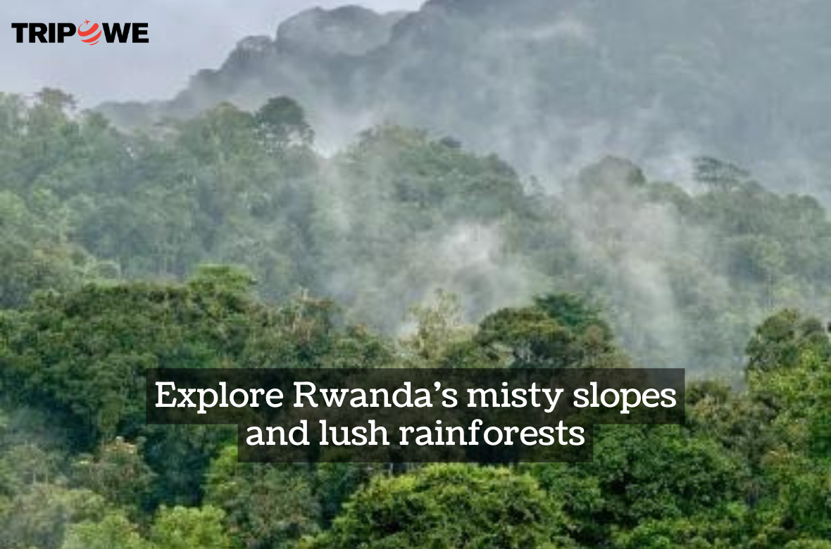 Explore Rwanda's misty slopes tripowe.com