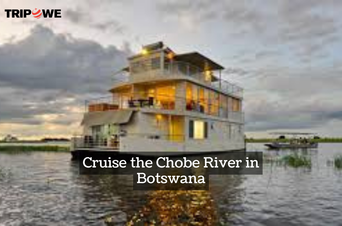 Cruise the Chobe River in Botswana tripowe.com